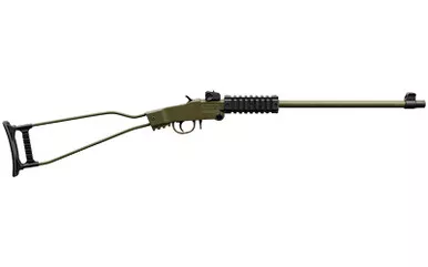 CHIAPPA LITTLE BADGER 22LR 16.5 GR